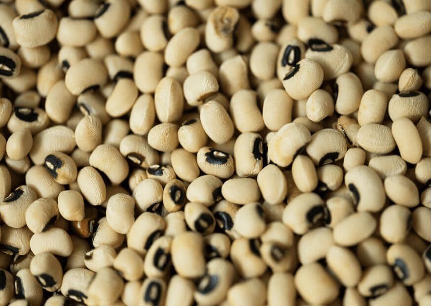 Hybrid-agri soya beans